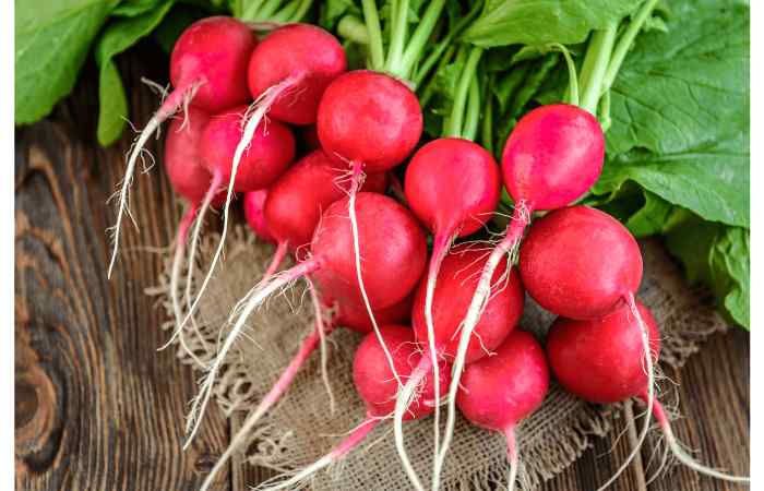 Radish - Radish Properties, Benefits and More - 2023