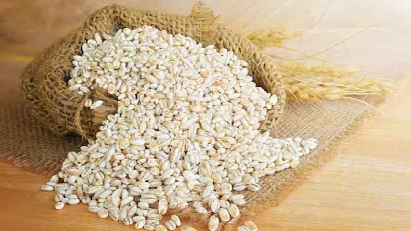 What is Barley Used for, and How to Use it? 
