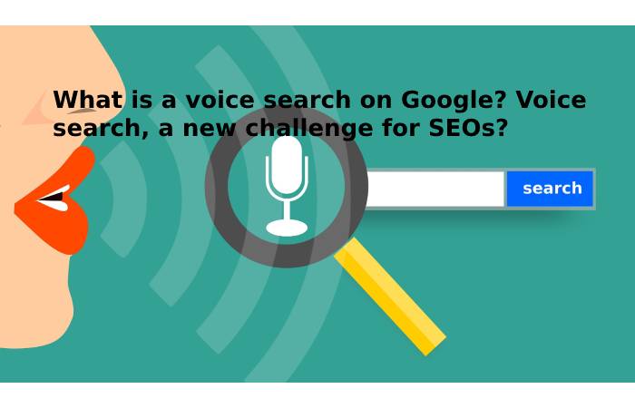 voice search (1)