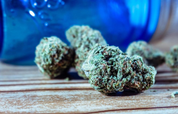What to keep in Notice While Buying Cannabidiol Hemp Nugs Online?
