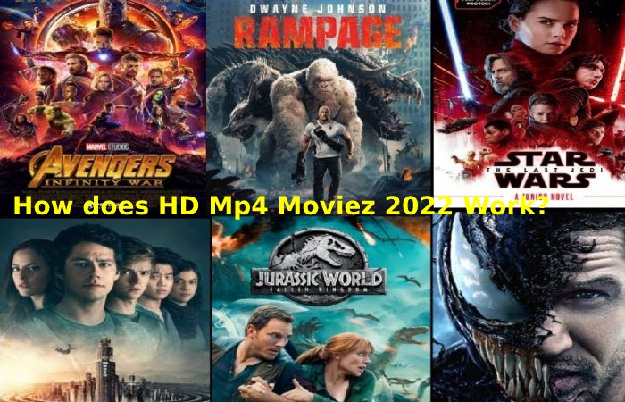 How does HD Mp4 Moviez 2022 Work?