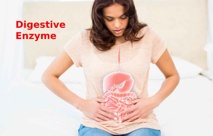 Digestive Enzyme