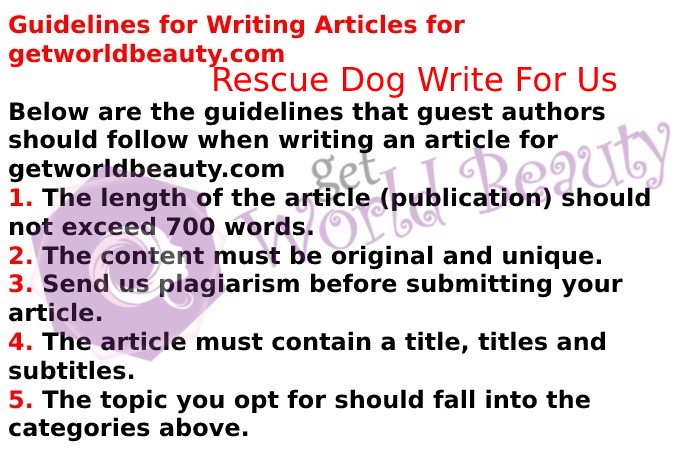 Guidelines of the Article – Rescue Dog Write For Us