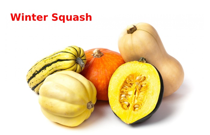 Winter Squash