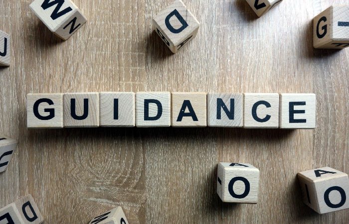 Guidelines for the Article