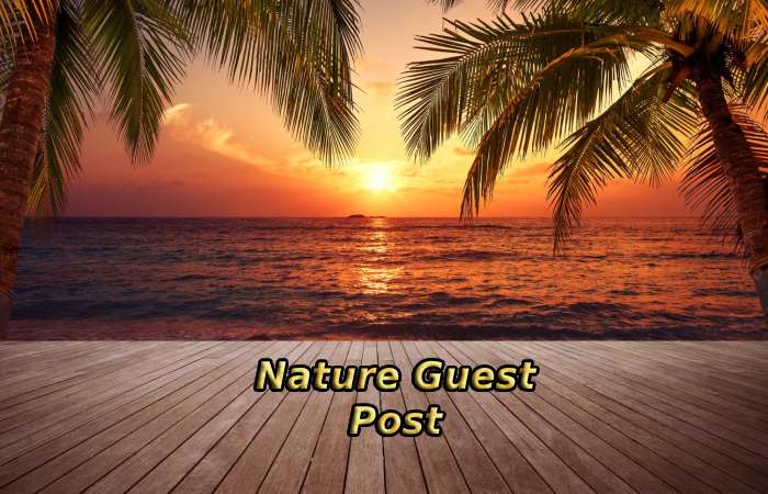 Nature Guest Post