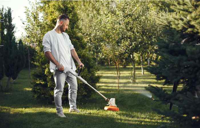 Five Professional Landscaping Techniques